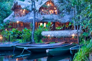 Sacha Lodge image 1