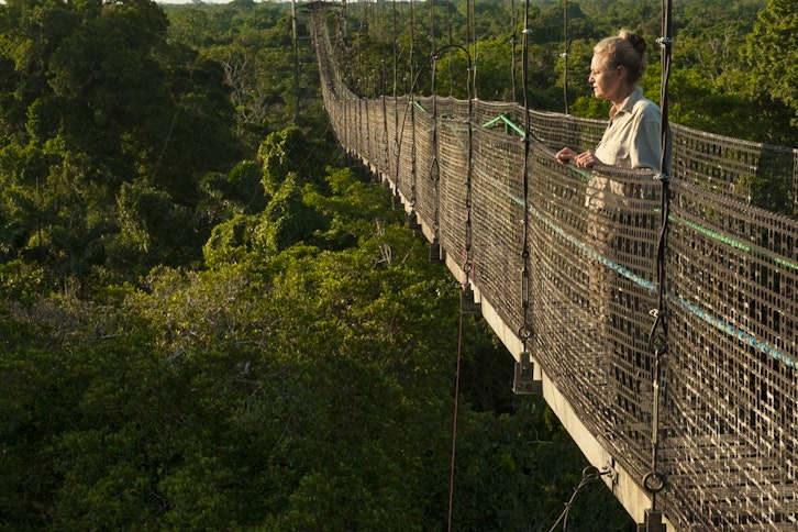 Canopy Walkway