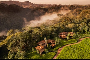 One&Only Nyungwe House image 1