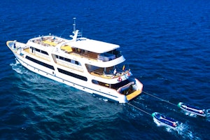 Galapagos Odyssey image 1