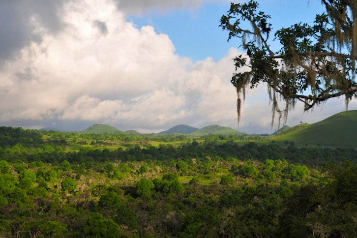 Galapagos Safari Camp