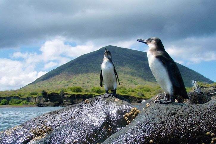 Galapagos Safari Camp