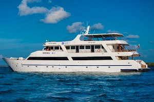 Sea Star Journey image 1