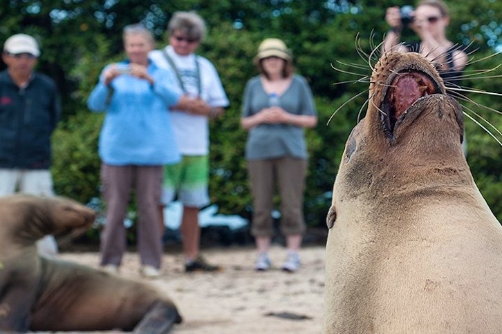 Galapagos, up close with the wildlife