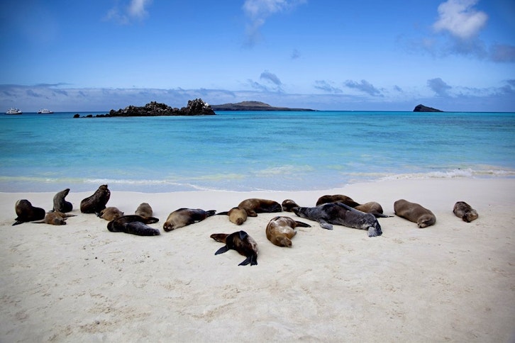Galapagos