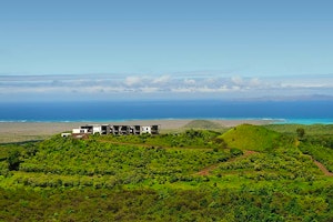 Pikaia Lodge image 1