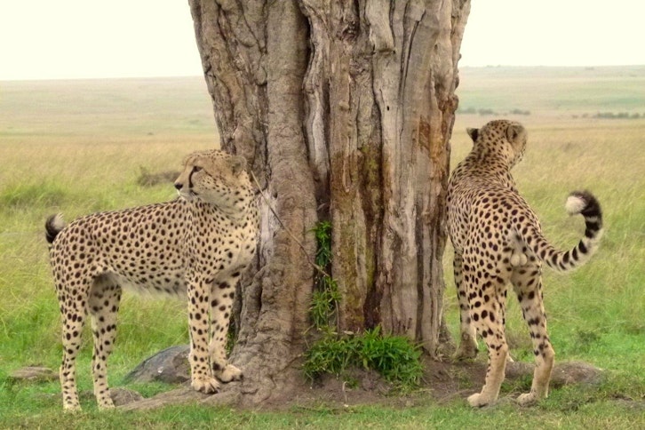 Govenors' Private Camp 7