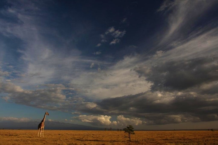 Kicheche Laikipia Camp 8