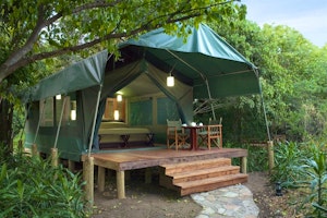 Kichwa Tembo Tented Camp image 1