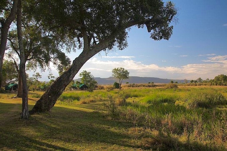 Little Governors' Camp 9