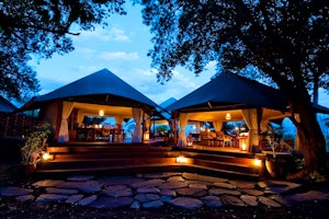 Mara Plains Camp image 1