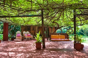 Olerai House image 1