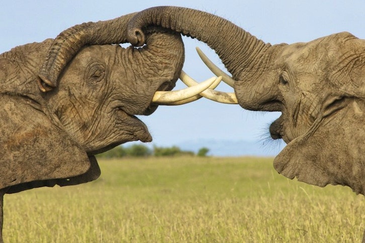 Rekero Tented Camp 7