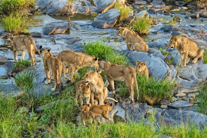 Rekero Tented Camp 8