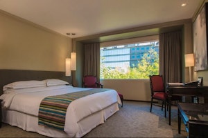 Barcelo Mexico Reforma image 1