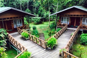 Borneo Nature Lodge image 1