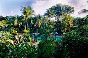 Chan-Kah Palenque image 1