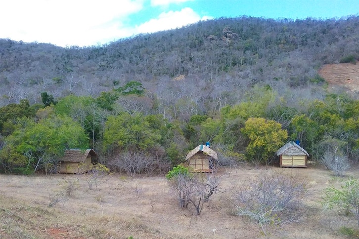 Le Camp Tattersalli 6