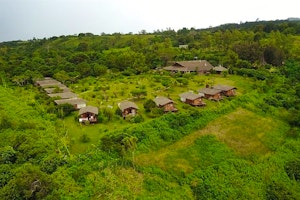 Nature Lodge image 1