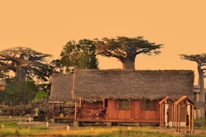 Relais du Kirindy image 1