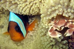 Sakatia Lodge image 1