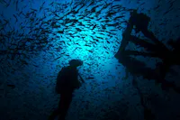 There is superb diving to be had in Nosy Be archipelago
