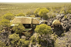 Little Ongava image 1