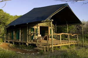 Ongava Tented Camp image 1