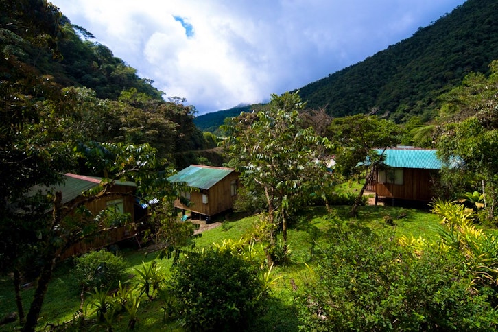 Cock-of-the-Rock Lodge 2