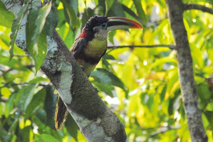 Hacienda Concepcion by Inkaterra 8
