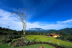 Los Establos image 1