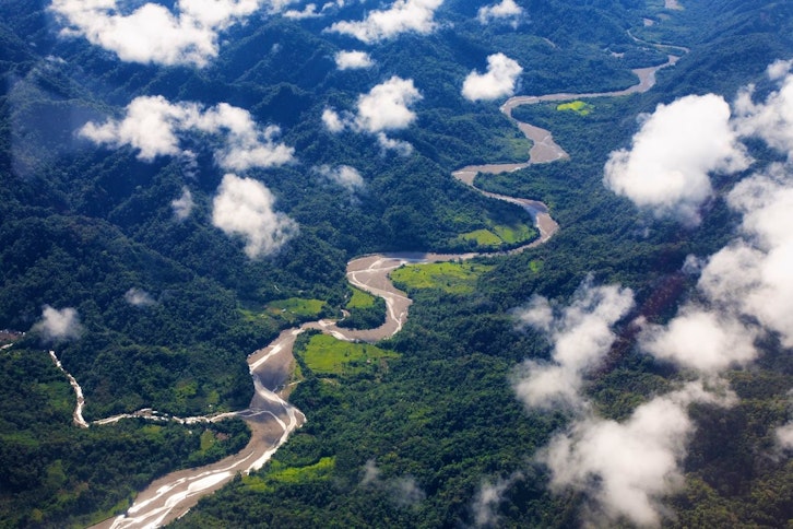 Manu Wildlife Centre 2