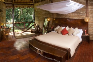 Refugio Amazonas image 1