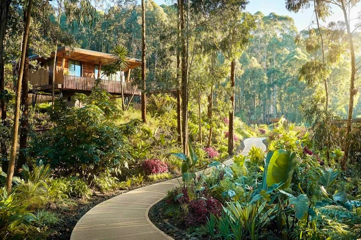 One&Only Gorilla's Nest 3