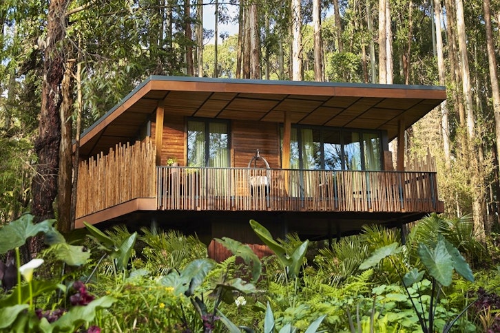 One&Only Gorilla's Nest 6