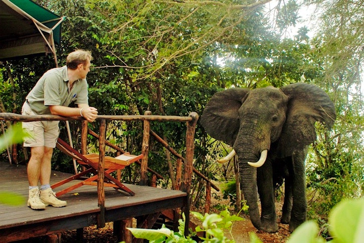 Selous Impala Camp 3