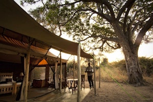 Kigelia Ruaha image 1