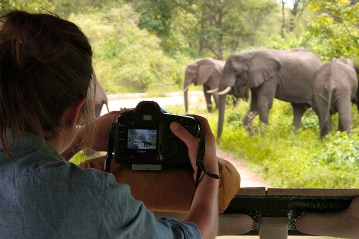 On Safari At &Beyond Lake Manyara Tree Lodge