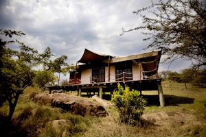 Migration Camp image 1