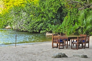 Rubondo Island Camp image 1