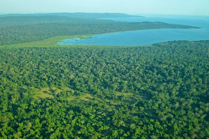 Rubondo Island Camp 7