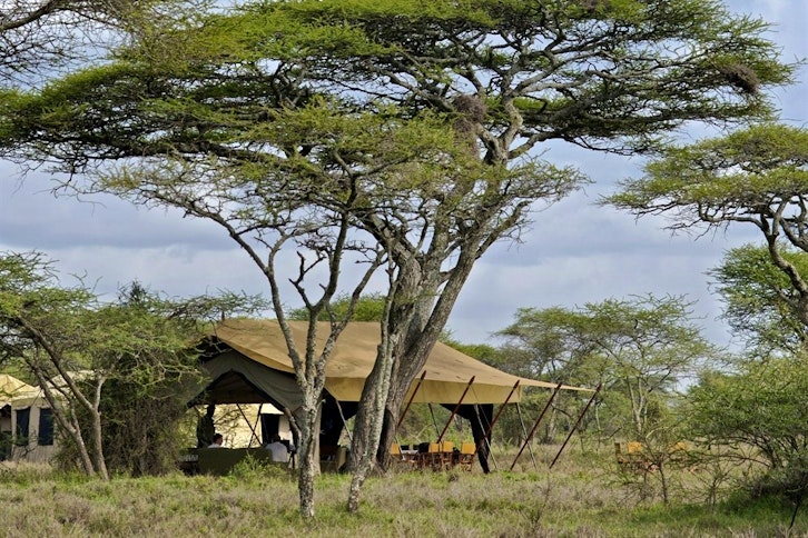 Serengeti Under Canvas 1