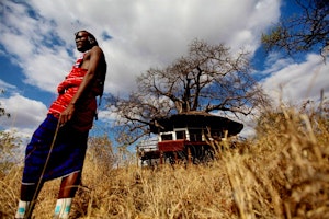 Tarangire Treetops image 1