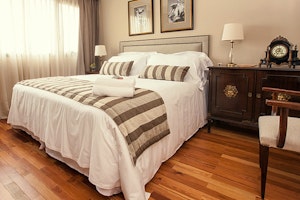 Alma Historica image 1