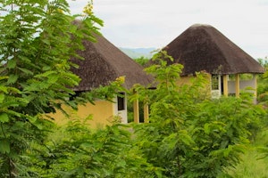 Elephant Plains Lodge image 1