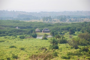 Enjojo Lodge image 1