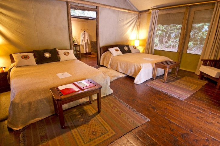 Sanctuary Gorilla Forest Camp 10