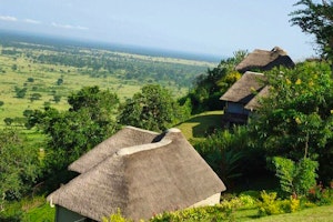 Katara Lodge image 1