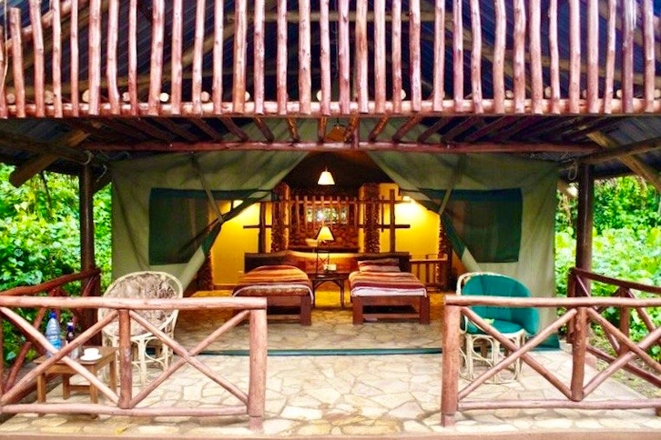 Kibale Forest Camp 3