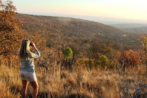 Ant's Nest & Ant's Hill image 1